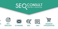 seo consult logo